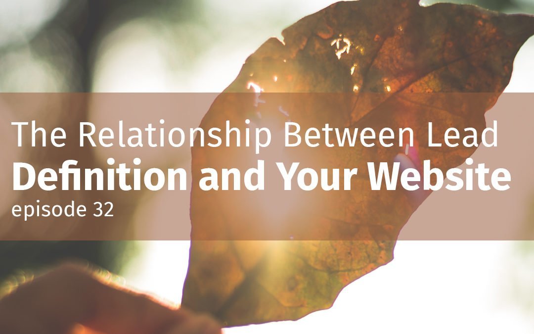 Episode 32 The Relationship Between Lead Definition and Your Website