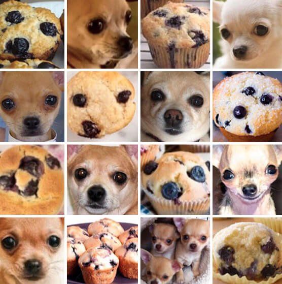 Machine Learning Images