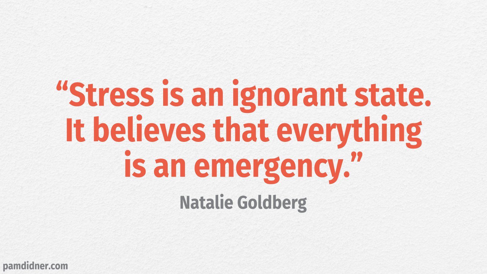 Stress Quote Natalie Goldberg